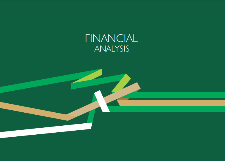 2015 Audited Financials