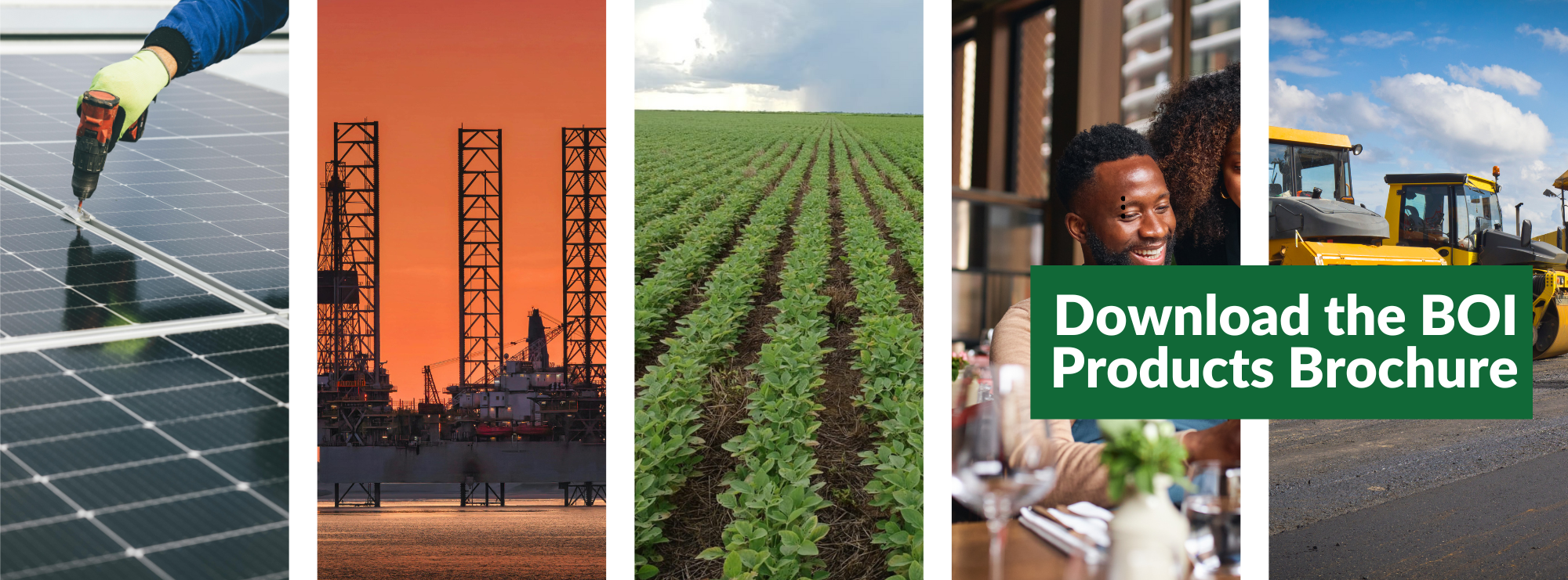 Download the BOI Products Brochure